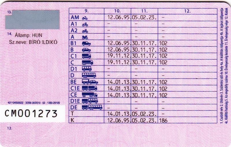 Easy Steps to Order a Hungarian Driving License Online