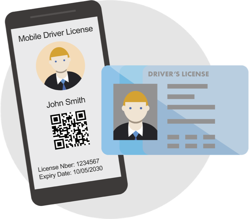 Buy Palau driving license online: How and Where to Get It!