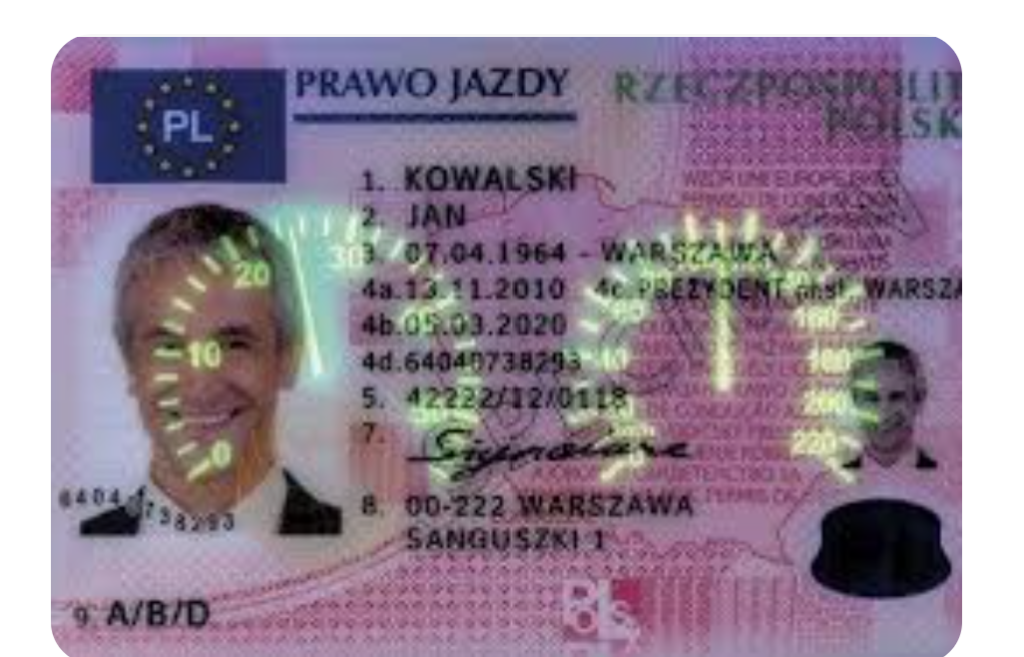 How to Buy Polish Driving License Online: A Simple Step-by-Step Guide