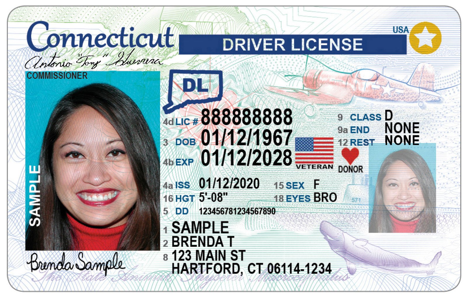 Buy German ID Card Online: Top Websites to Purchase Real IDs