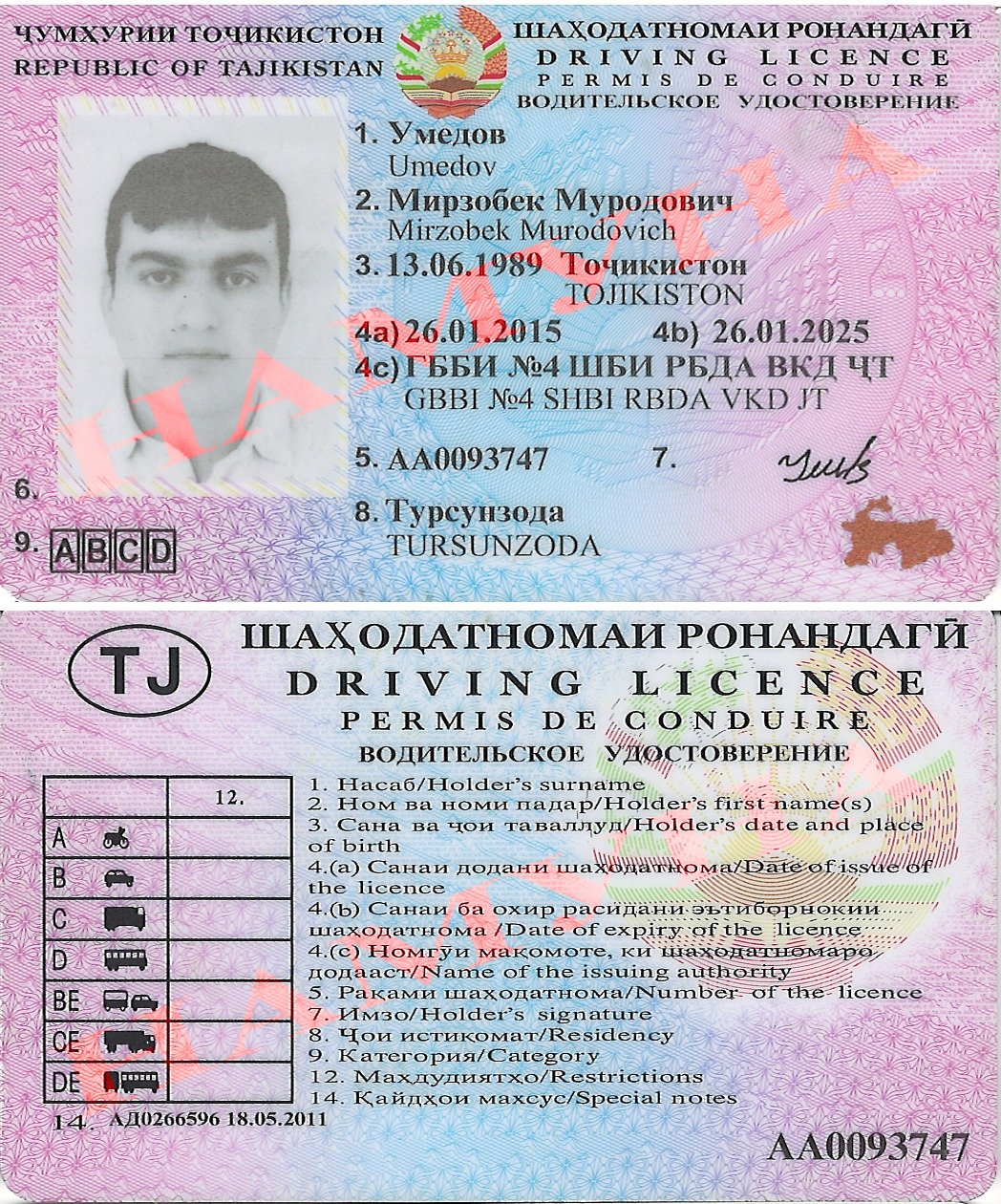 Want to Buy Tajikistan Driving License? Avoid These Mistakes