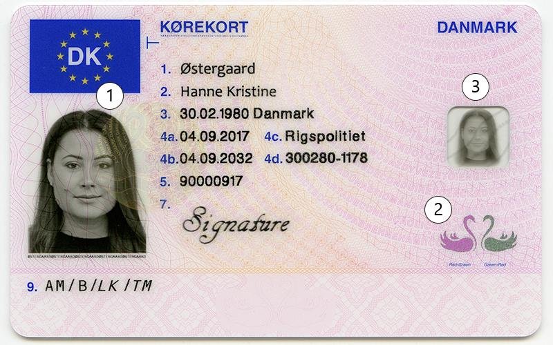 Quick Guide: Order a Danish Driving License Online in Minutes