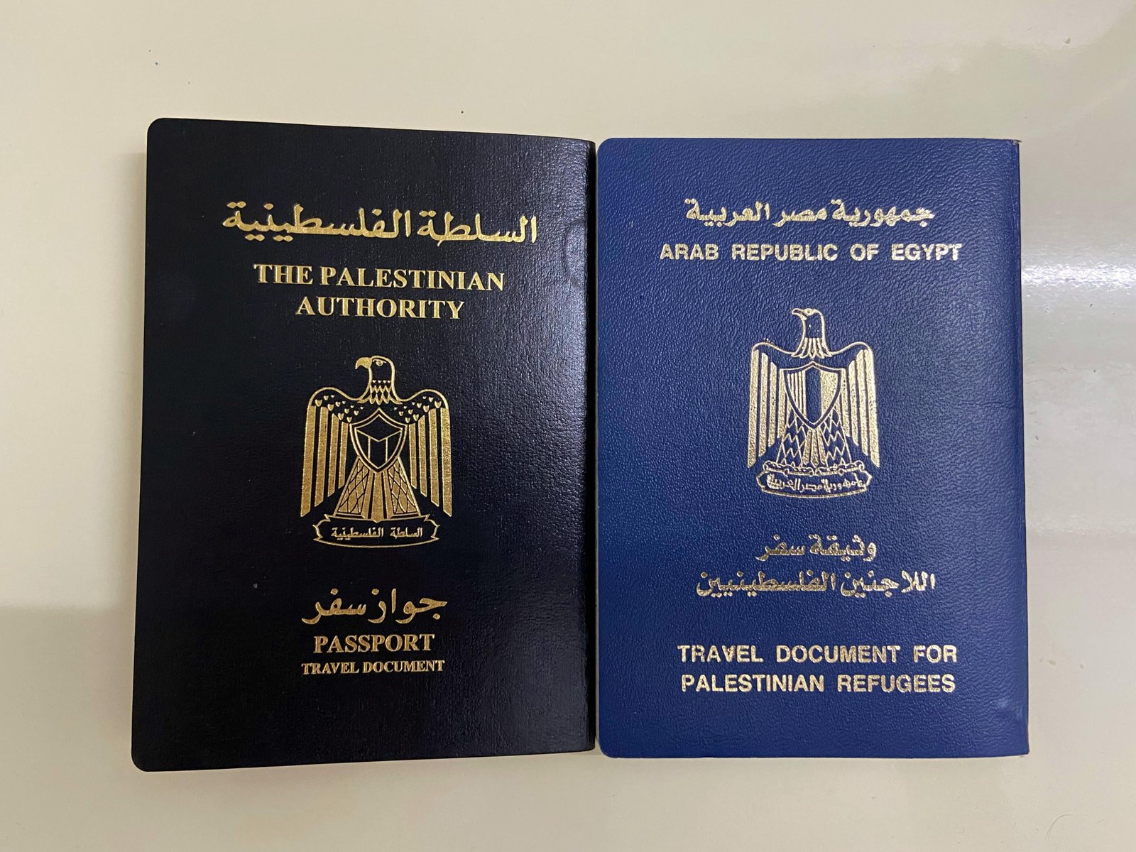 Want to Order Palestinian Passport Online? Heres What to Do!