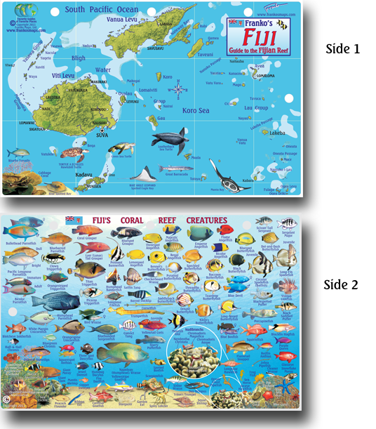 The Easiest Way to Order Fiji Islands ID Card: Follow This Guide!