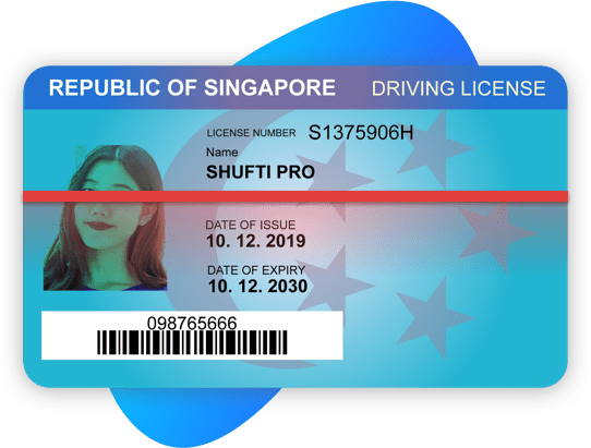 Buy Singapore Driving License Online: Avoid the Hassle of Tests!