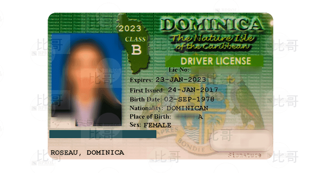 Need a Dominica driving license? Order Dominica driving license online quickly