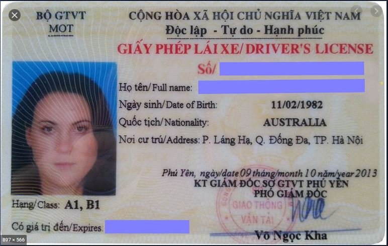 Want to buy Vietnam driving license online? Here is what you need to know
