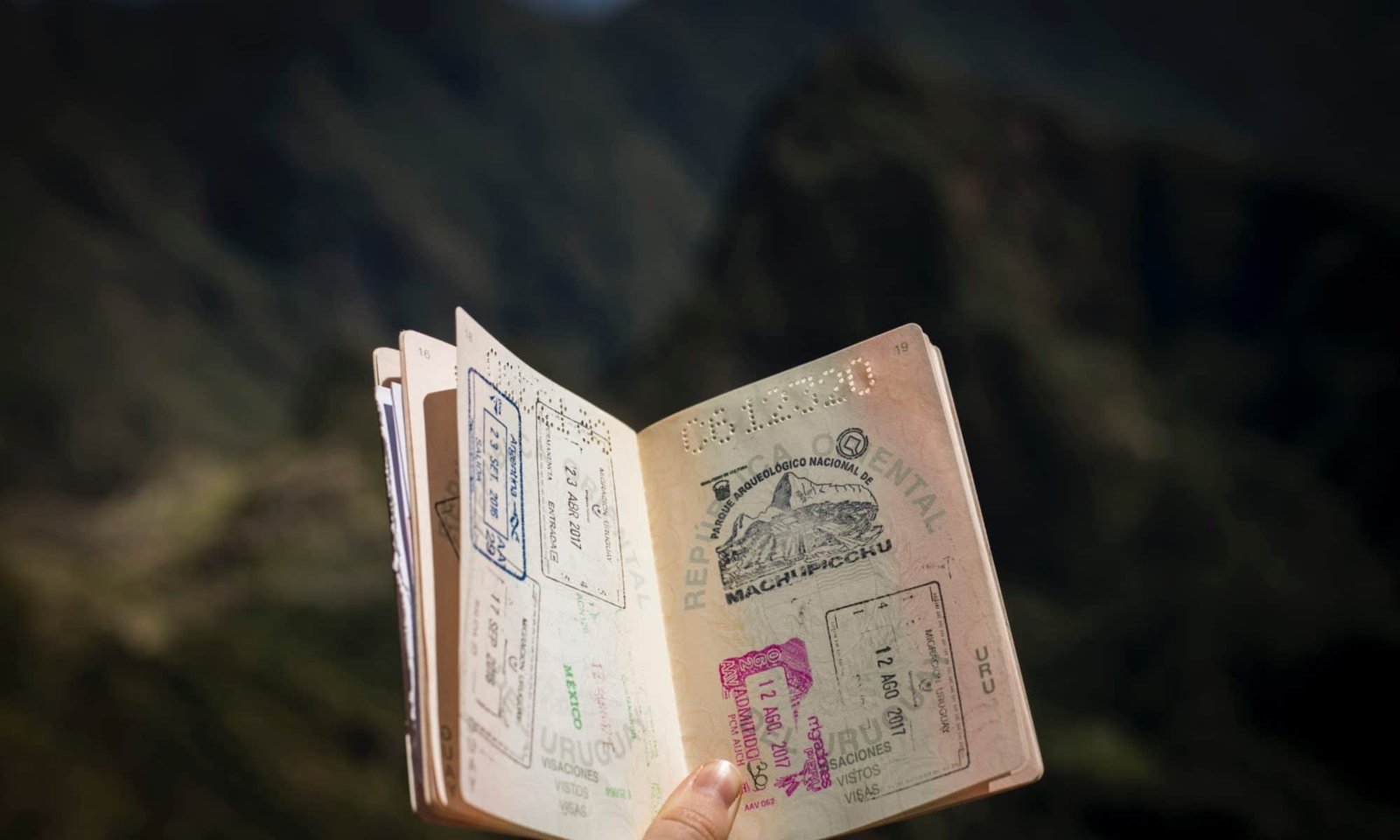 Buy Montenegrin Passport Online: Get Your Passport Quickly Through Simple Steps!