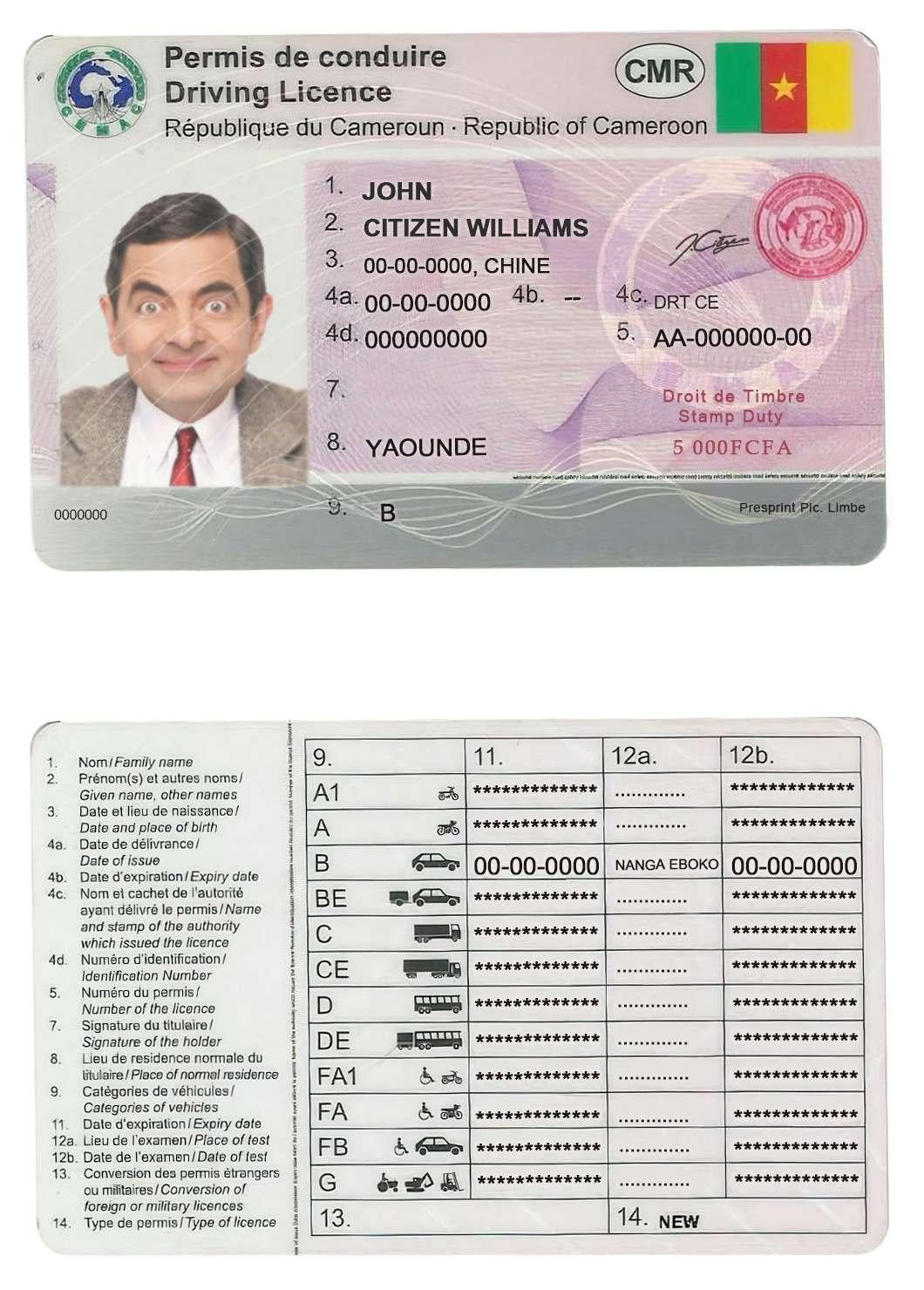 Order Cameroon driving license online, the easiest way!
