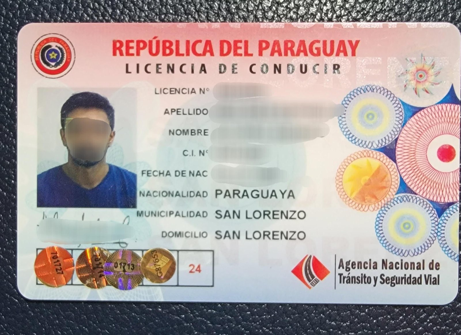 Order Paraguayan driving license: What you need to know