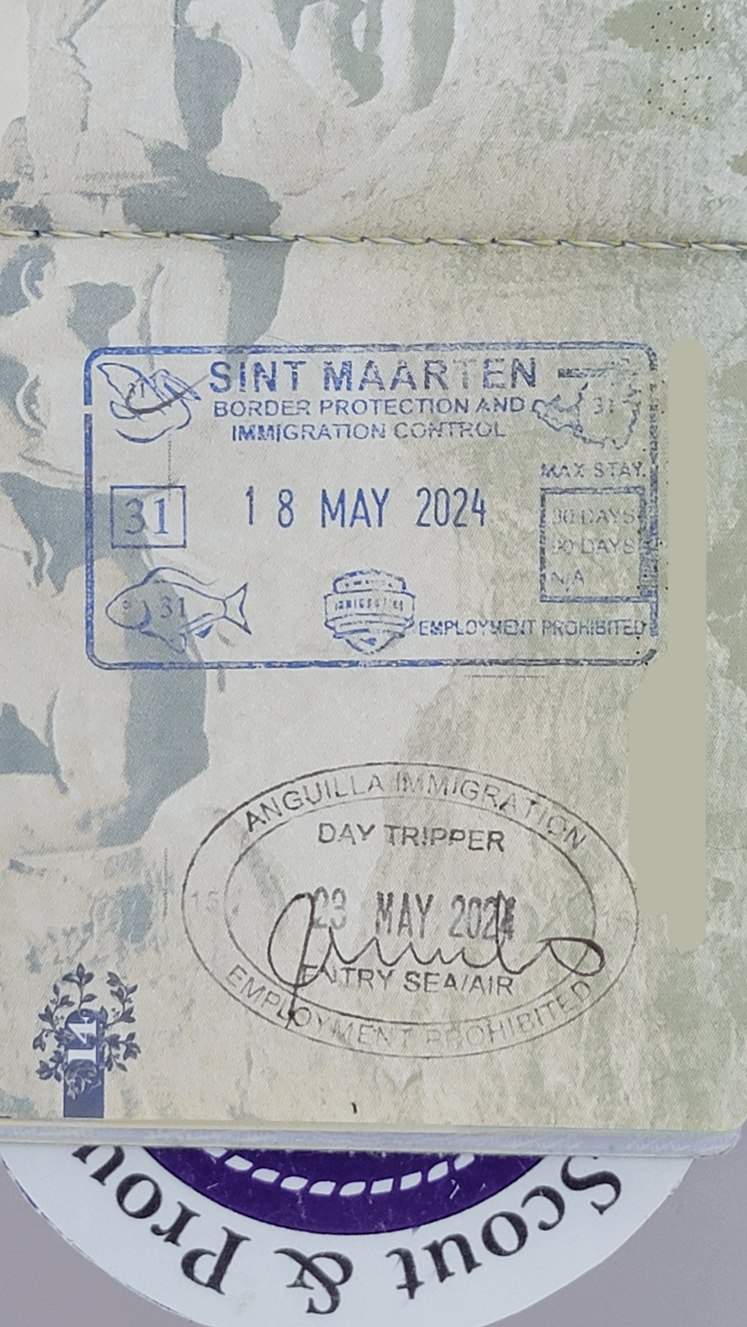 Where to Buy Sint Maarten Passport? Find the Best Place!