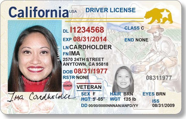 Buy Samoa driving license online: How much does it cost? Get the details!