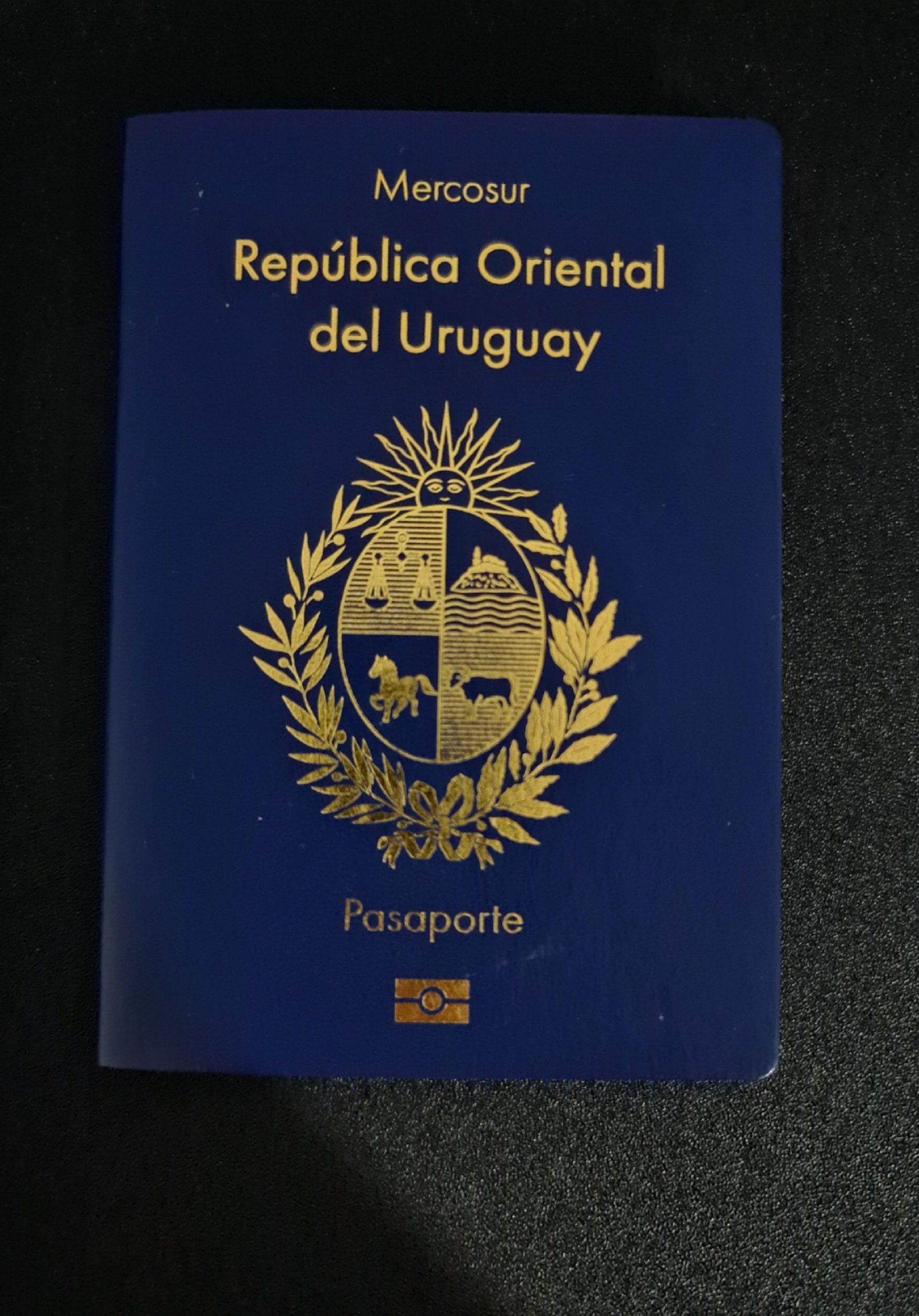 Buy Uruguayan Passport Online: A Simple Guide for You