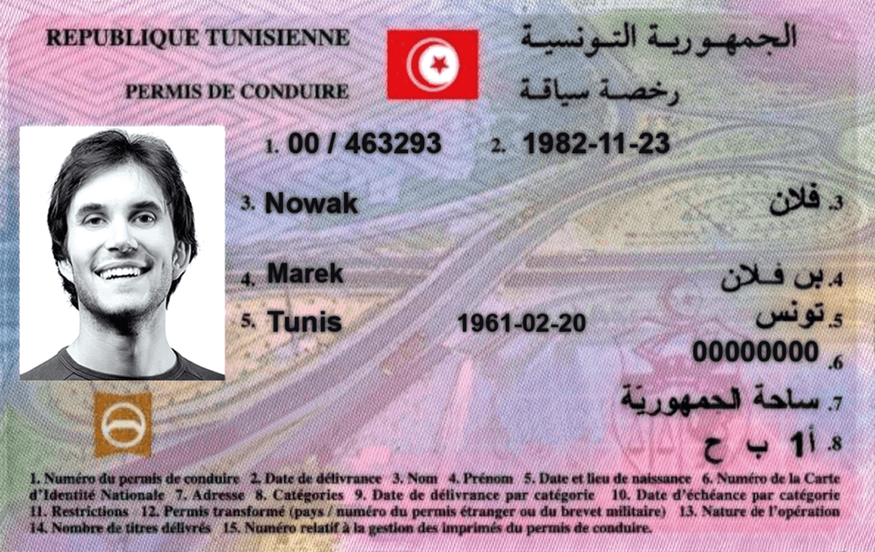 Order Tunisian driving license online: Get Yours Quickly and Easily(Tips and Tricks)