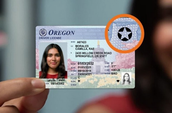 Buy Montserrat drivers license online: Skip the lines and save your time!